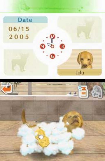 Immagine -13 del gioco Nintendogs: Dachshund and Friends per Nintendo DS